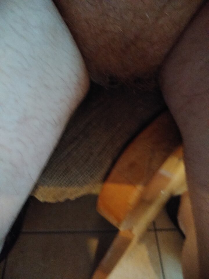 15862345354837379895834326259461.jpg - Palciusia