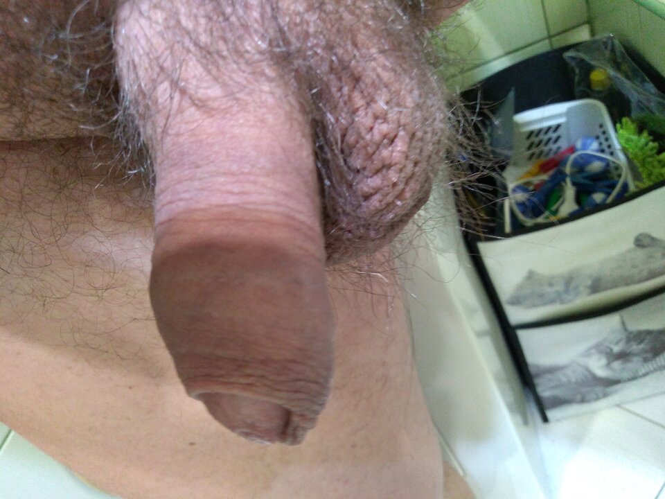 15863185611783423988598854208792.jpg - matuzalem000