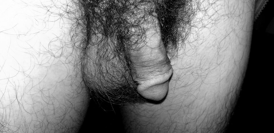 20200408_132206.jpg - roma4444