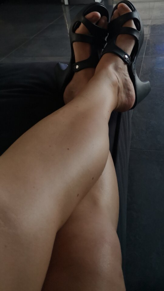 IMG_20200410_111256.jpg - LauraTranss