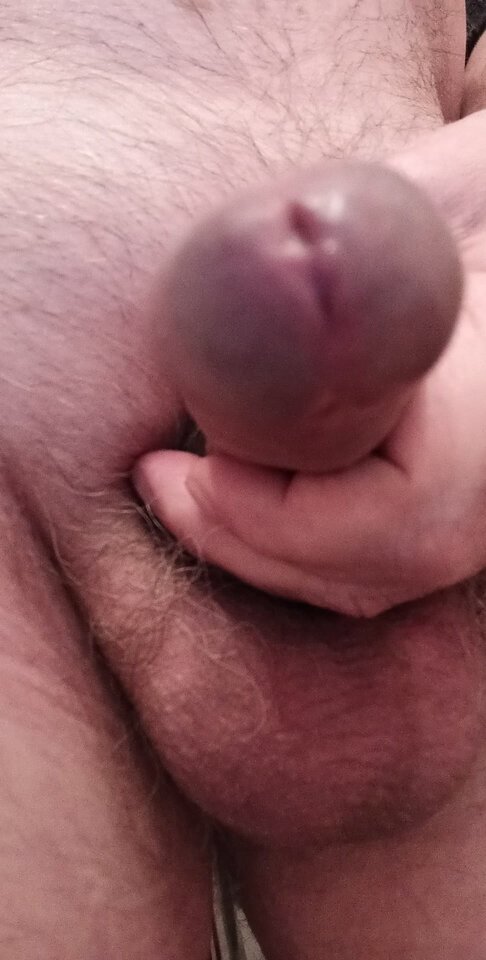 92676299_593549141243387_3532245859452321792_n.jpg - konrad5258