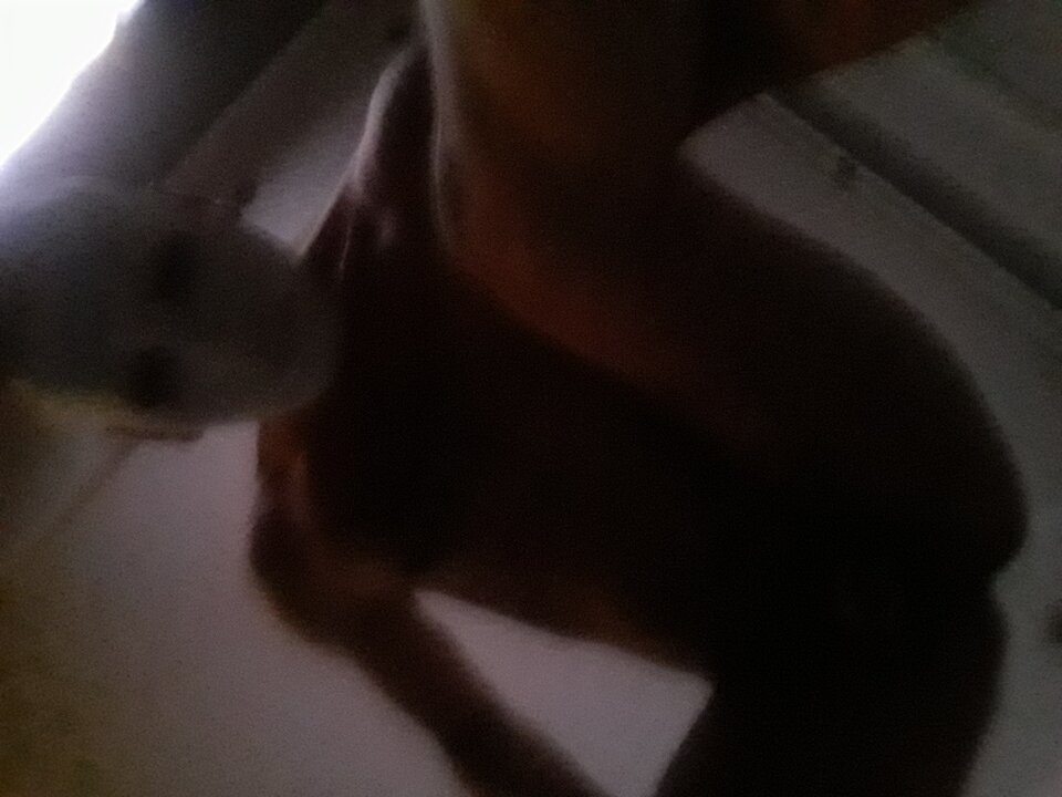 20200321_052421.jpg - Patryk13mcz