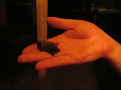 IMG_6664.JPG