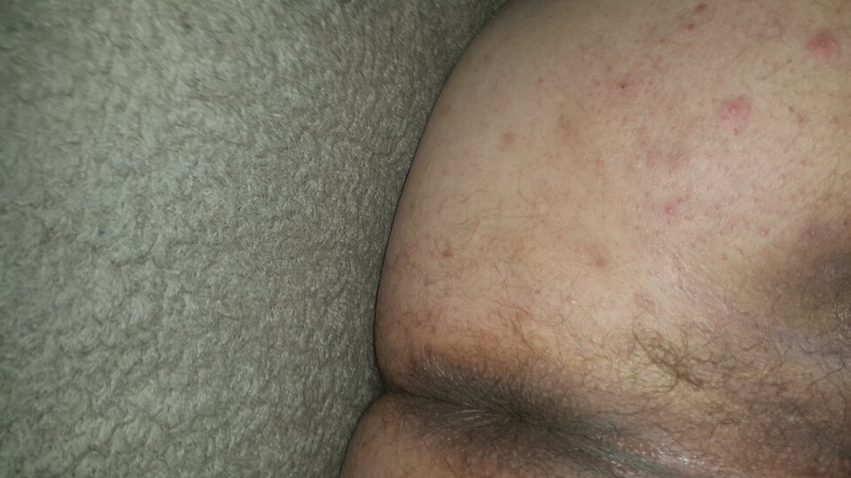 20200411_191426.jpg - Grubasek1970