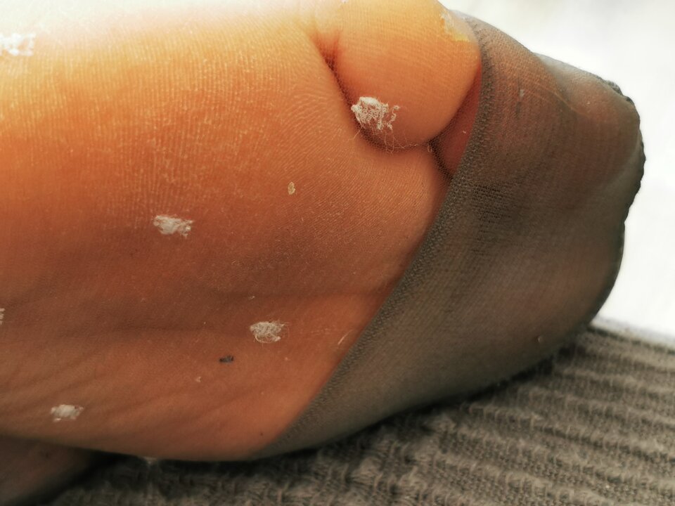 IMG_20200412_143403.jpg - pnatyhose_lbn