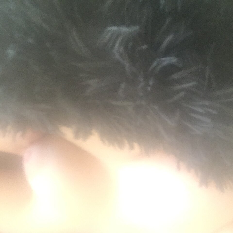 47C2C027-EA2A-4D10-A2EB-9644712A0032.jpeg - onaostra27