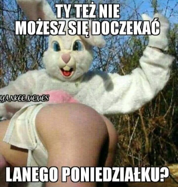 20200412_144242.jpg - Kokietka81