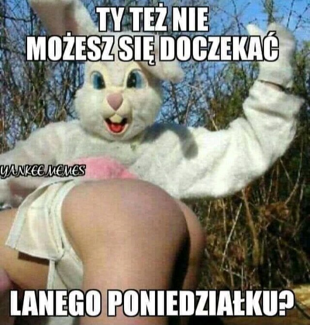 Kokietka81