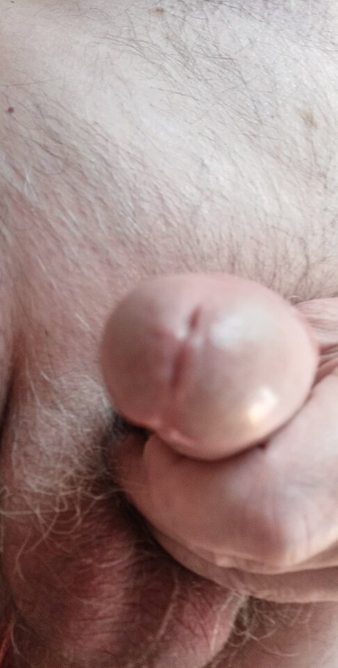 93098180_533787257541518_5705314271152308224_n.jpg - konrad5258