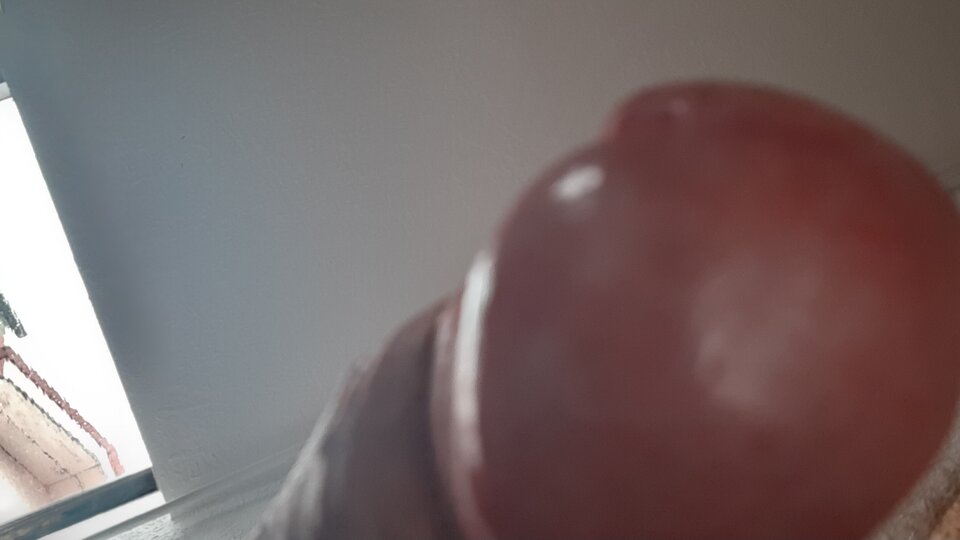20200413_133412.jpg - KG1977