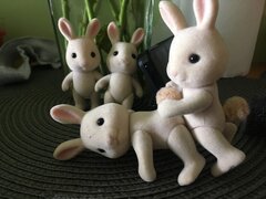 Rabbits 1