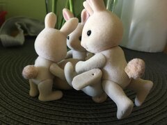 Rabbits 3