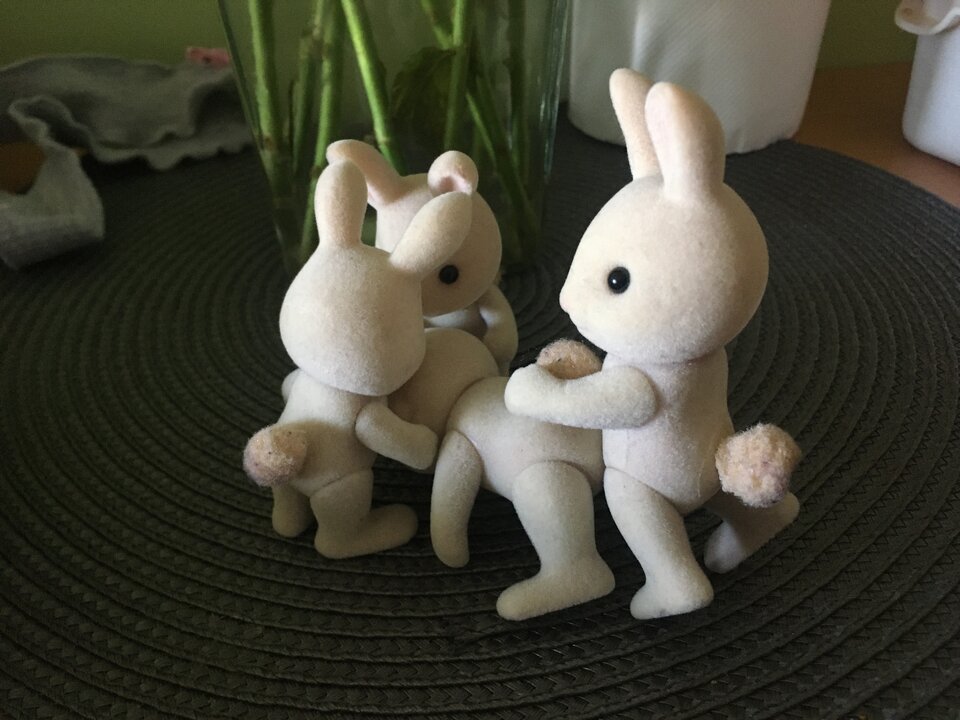 Rabbits 2 - NiespodziewanaPara