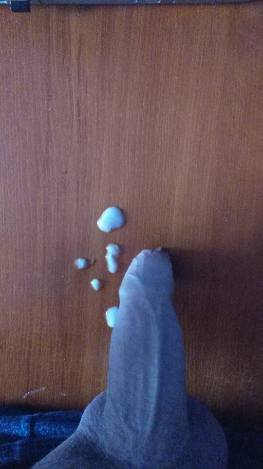 IMAG6155.jpg - para88888