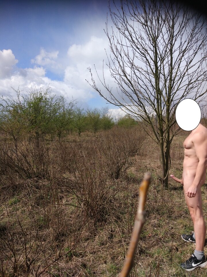 IMG_20200414_115357.jpg - inqognito7