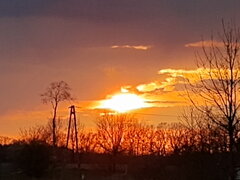 IMG_20200412_193540751.jpg