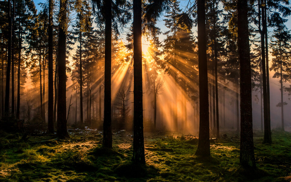 01_gettyimages-485245833_super_resized.jpg - sebaa1980