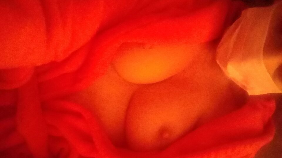 20200418_114950.jpg - Szalonanapalona69