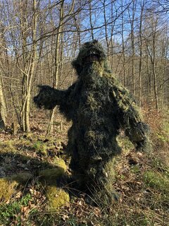 Zakaz wstępu do lasu