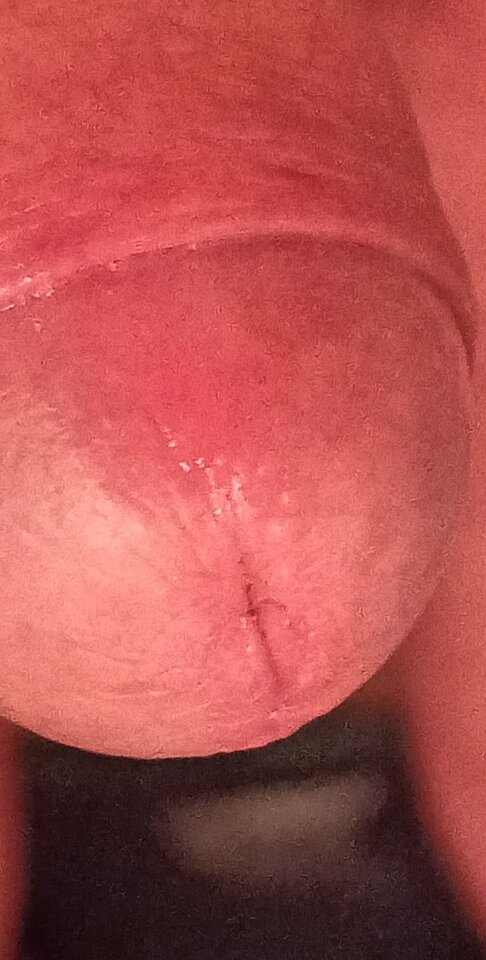 93398556_2872153222853416_2608250453934211072_n.jpg - konrad5258