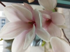 Wiosna... Wiosna aaa.