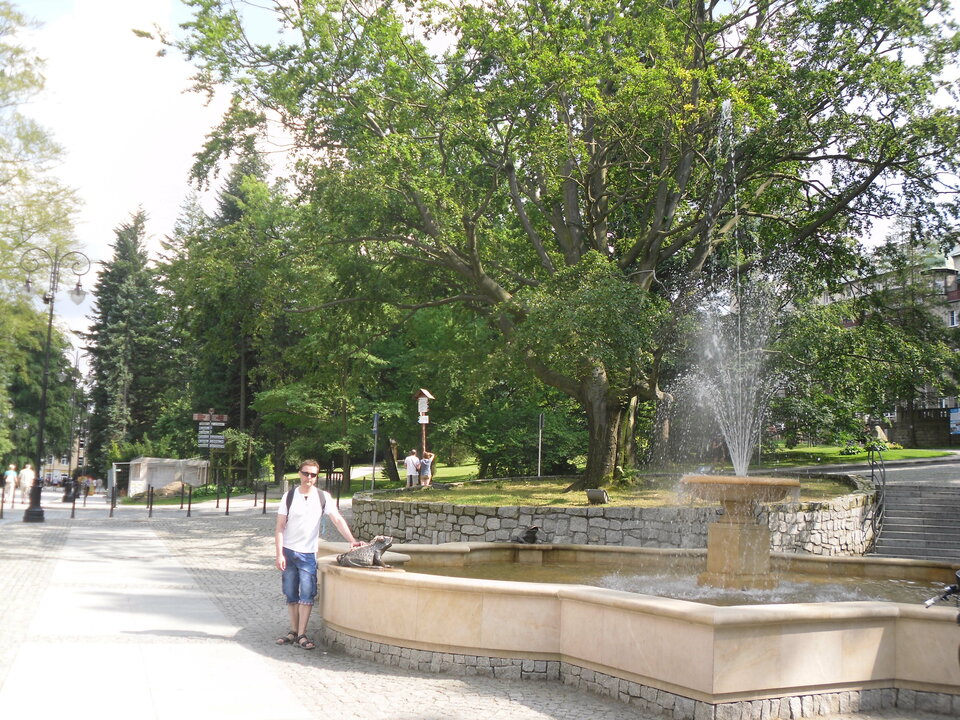 SDC13797.JPG - MAXIVIT10