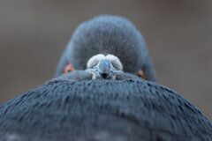 Gdy usiłujesz nawiązać kontakt wzrokowy z partnerem.....