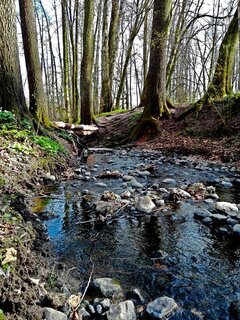 IMG_20200420_165315.jpg