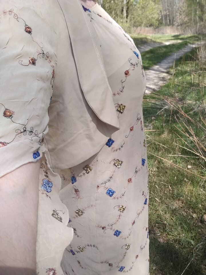 15874617549308351232282193706687.jpg - Palciusia