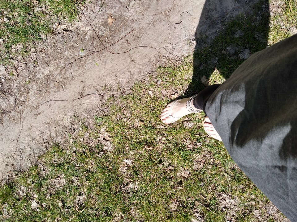 IMG_20200421_120033184_HDR.jpg - Palciusia