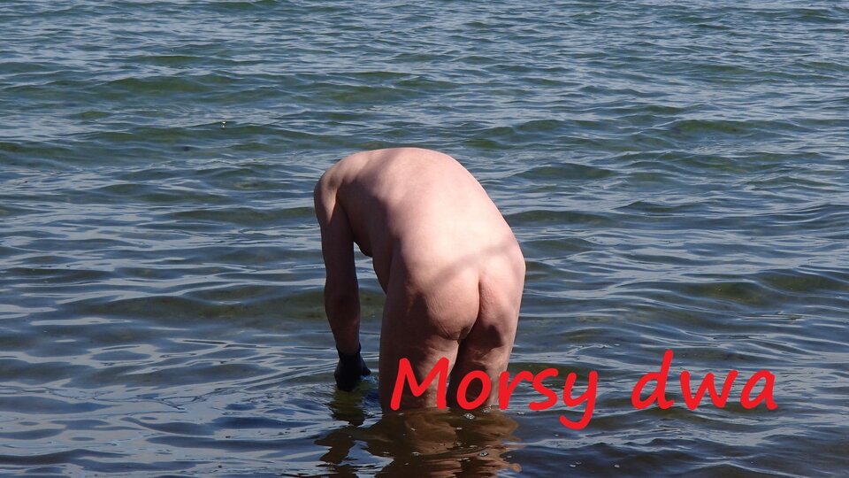 Zbiornik 1139 - Morsy_dwa