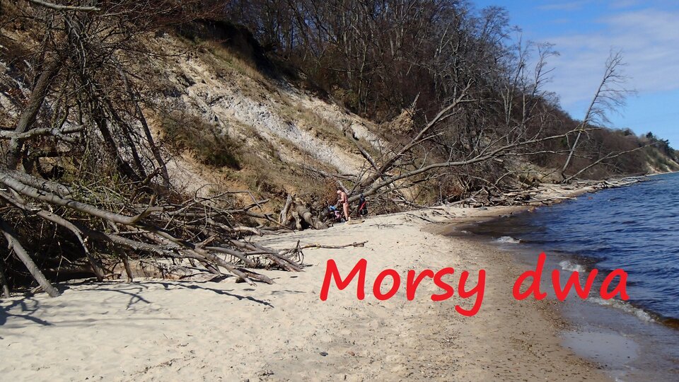 Zbiornik 1134 - Morsy_dwa