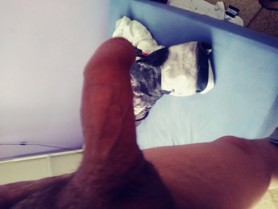 15874796632475535970807606516445.jpg - tomcio31