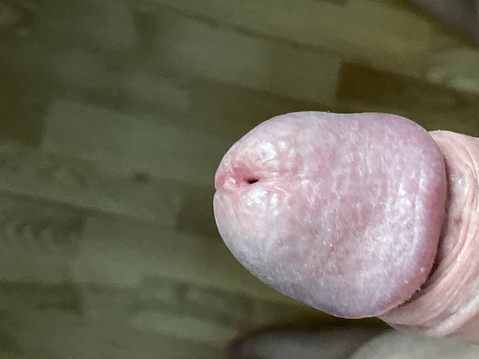 image.jpg - lordnorbi