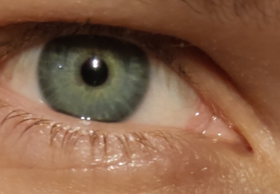 IMG_20200217_202125.jpg - PanHuligan82