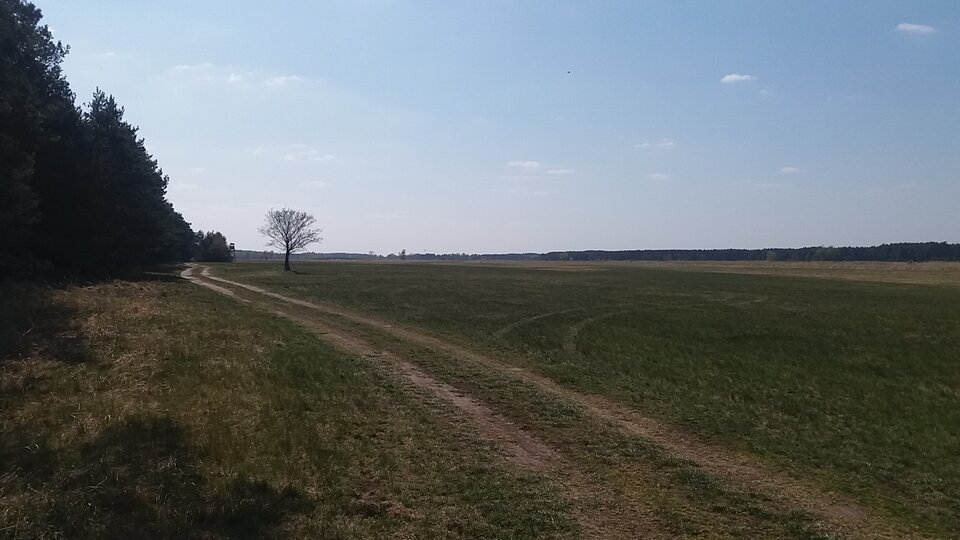 20200422_125711.jpg - Mich1977