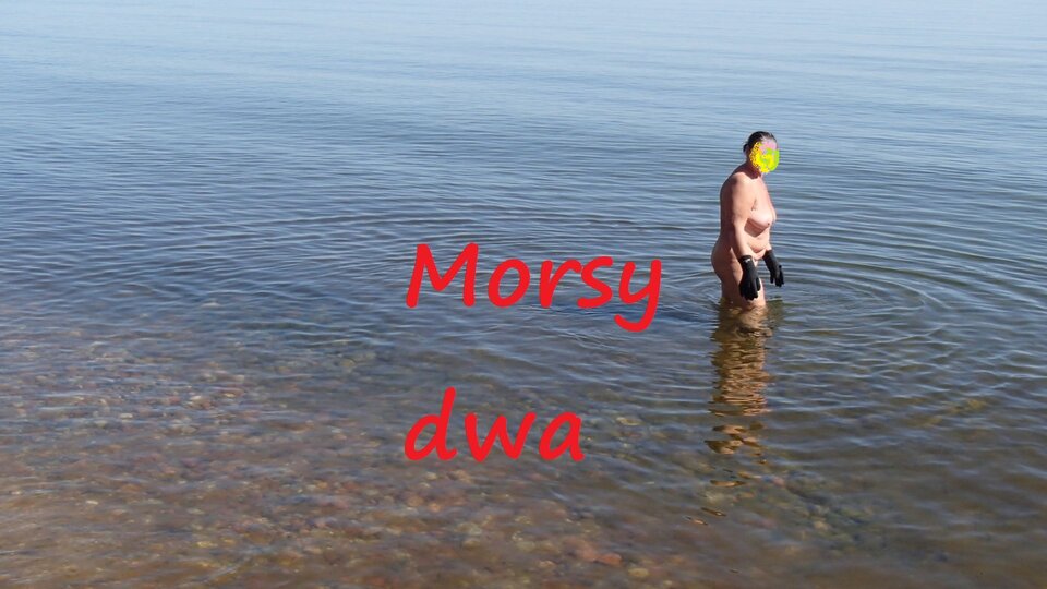 Zbiornik 1145 - Morsy_dwa