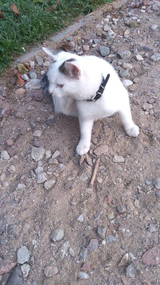 IMG_20180921_072107.jpg - Misio0082