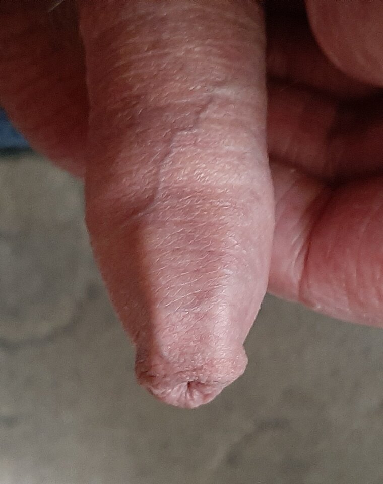 20200421_174318.jpg - Jacencior