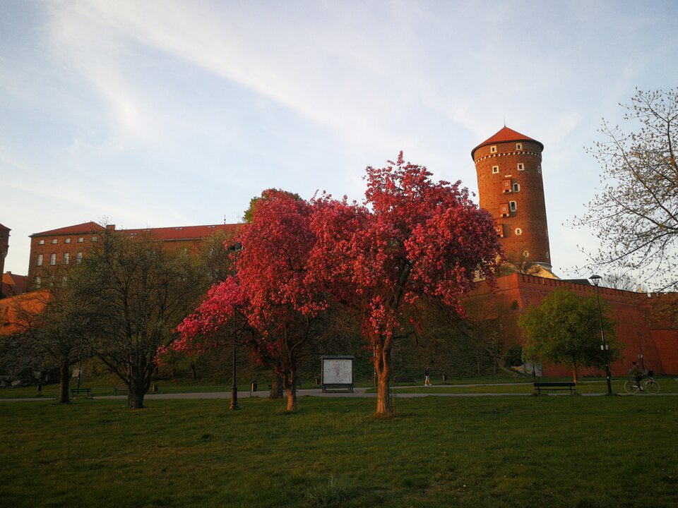 Złota godzina.jpg - MaciekBoribos