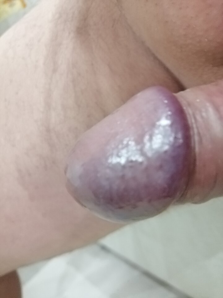 IMG_20200425_145317.jpg - bartazi172