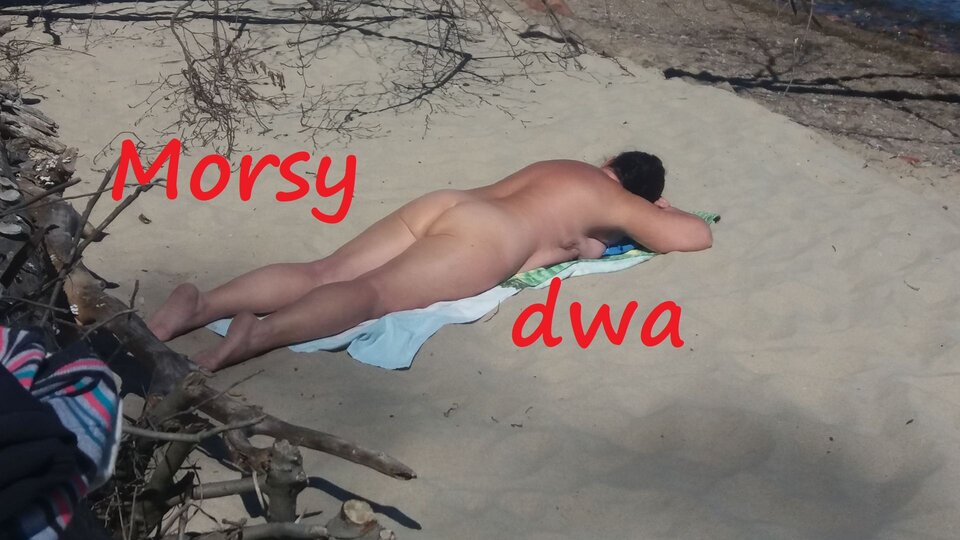 Zbiornik 1156 - Morsy_dwa