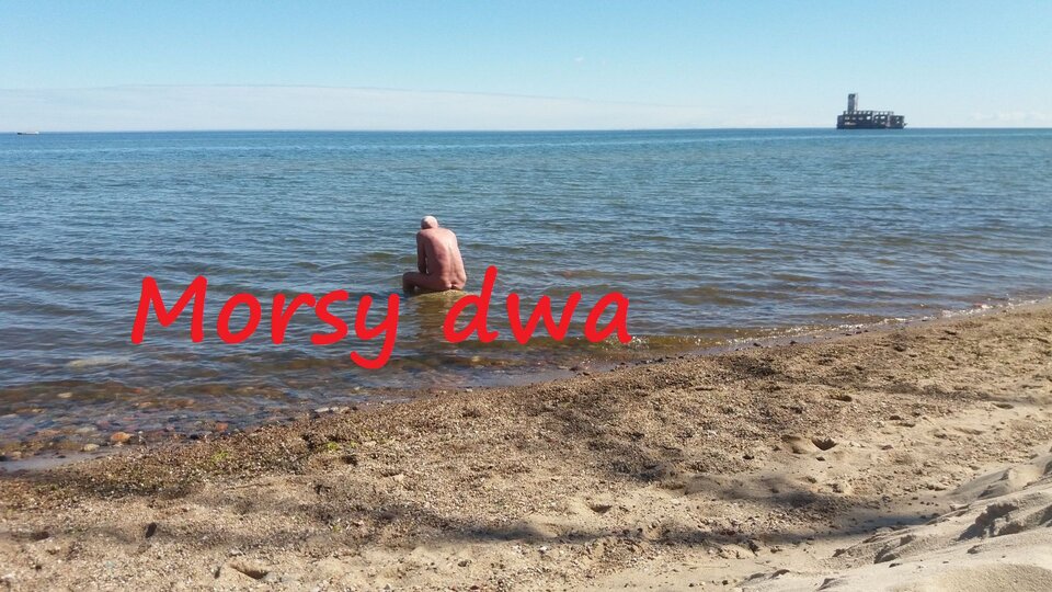 Zbiornik 1154 - Morsy_dwa