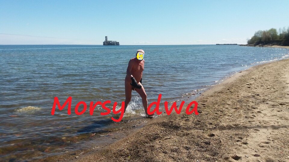 Zbiornik 1155 - Morsy_dwa