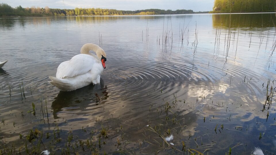 20200426_182208.jpg - mak31