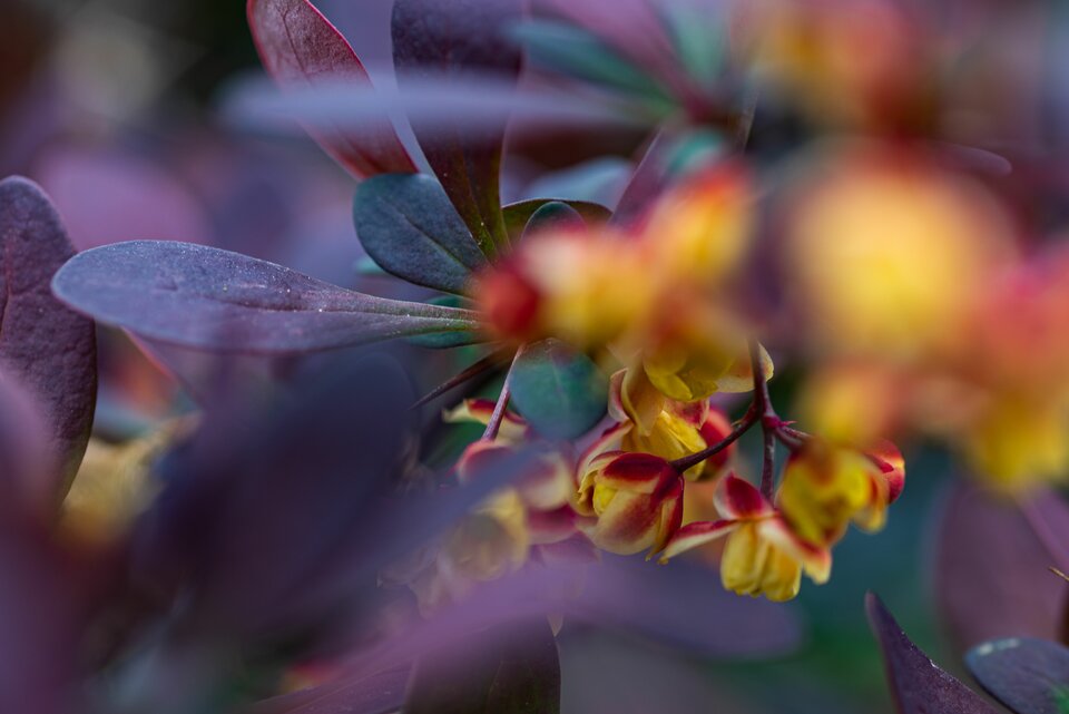 Małe jest piękne - mystic