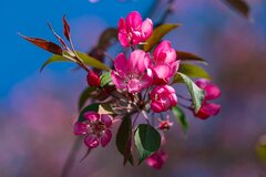 W stronę słońca 1