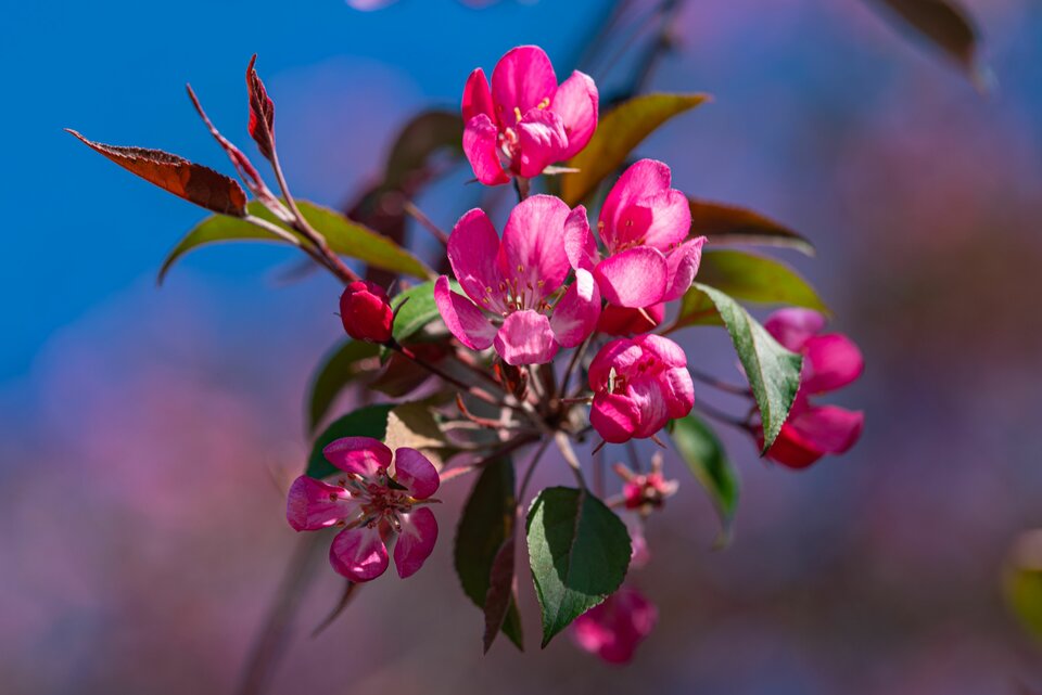 W stronę słońca 1 - mystic