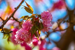 W stronę słońca 3