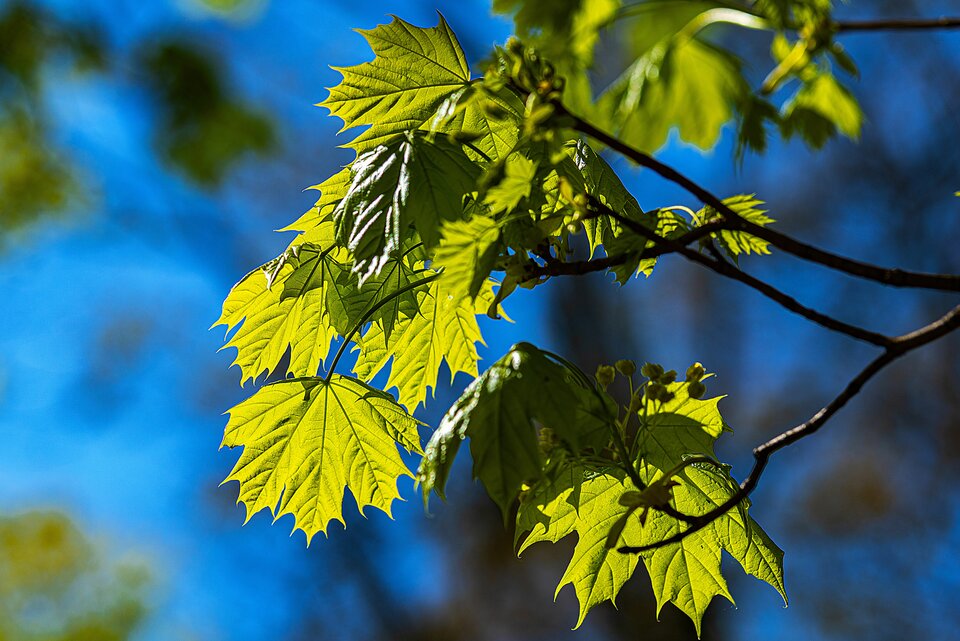 W stronę słońca 2 - mystic